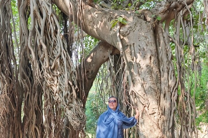 Best of Islamabad: One-Day Sightseeing Tour