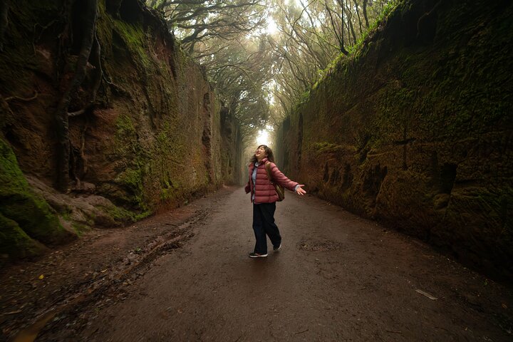 Tenerife Wonder Walk