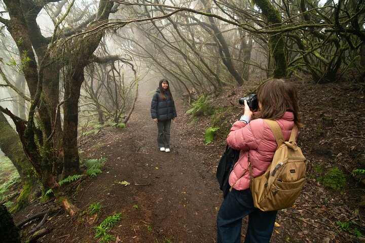 Tenerife Wonder Walk
