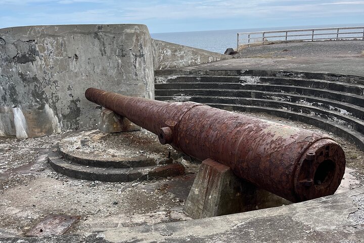 St. John’s and Cape Spear tour, small group up to ten guests