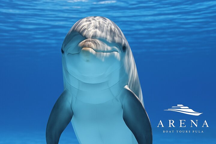 Fantastic DOLPHIN & SUNSET TOUR with dinner ( Pula-NP BRIJUNI )