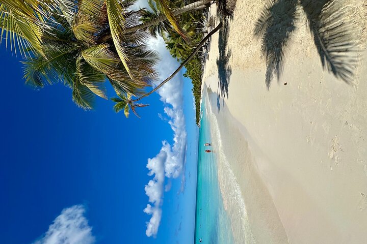 Small Group: Saona Island Full Day Tour