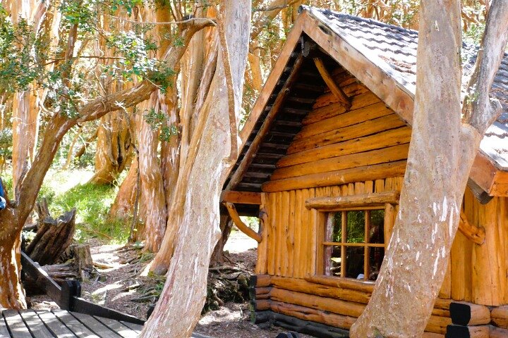 Unforgettable Patagonia Victoria Island and Arrayanes Forest