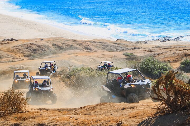 Beach and Desert UTV Tour in Cabo