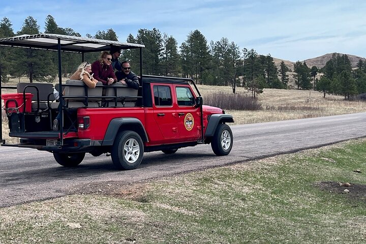 The Only Full Day - Jeep Bison Safari - W/ Lakeside Picnic Lunch