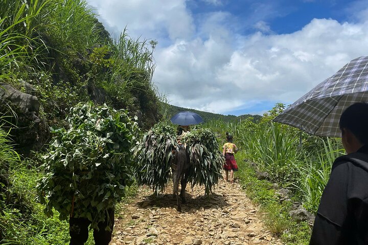 Cultural Trekking Tour of H'Mong Village In Dong Van