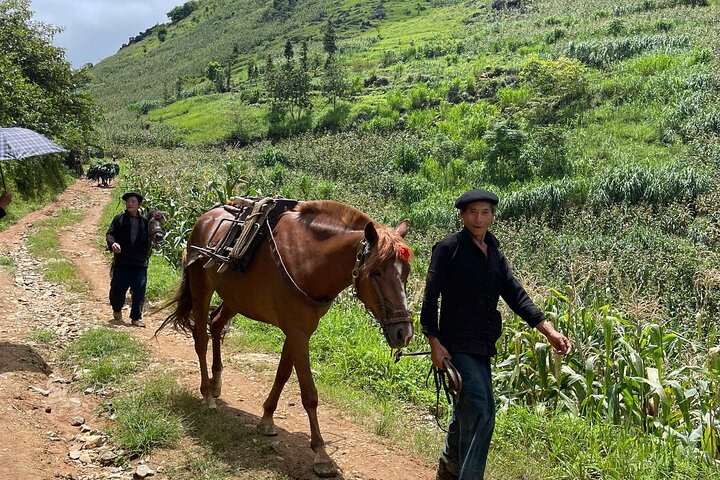 Cultural Trekking Tour of H'Mong Village In Dong Van