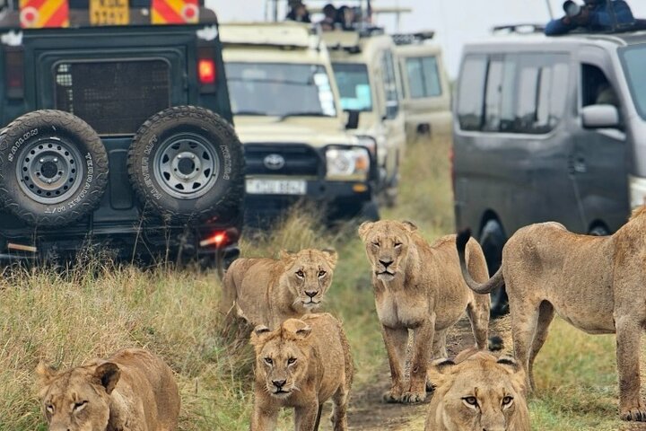 Private Safari Tour : Nairobi National Park