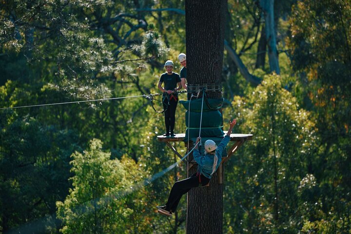 Forest Adventures