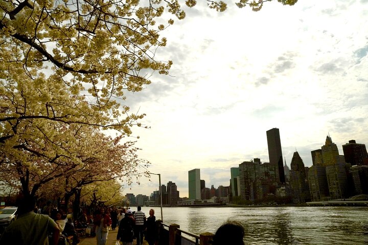 Event at New York City with DJ Music, Photography & Music Video