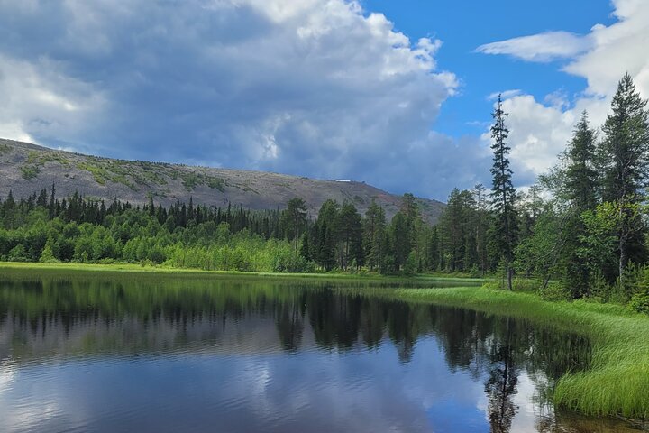Private Hiking Tour in the Pristine Nature in Pyha Luosto