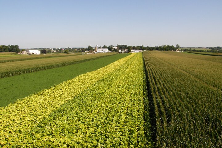Amish Farmlands Tour