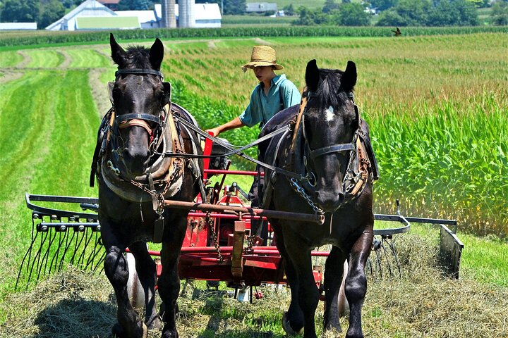 Amish Farmlands Tour