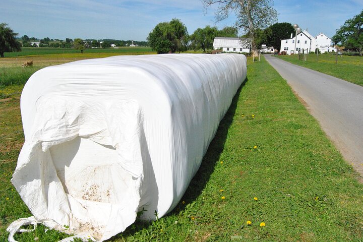 Amish Farmlands Tour