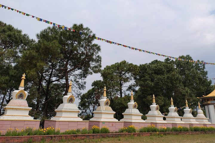 Guided Tour to Palampur-Monasteries, Temple & Tea Gardens visit