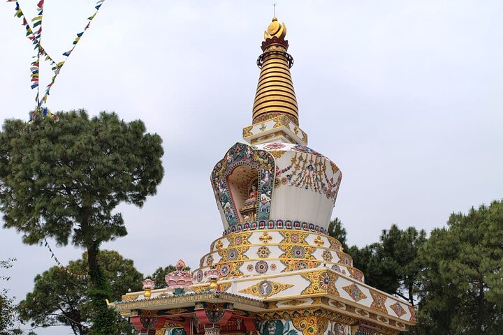 Guided Tour to Palampur-Monasteries, Temple & Tea Gardens visit