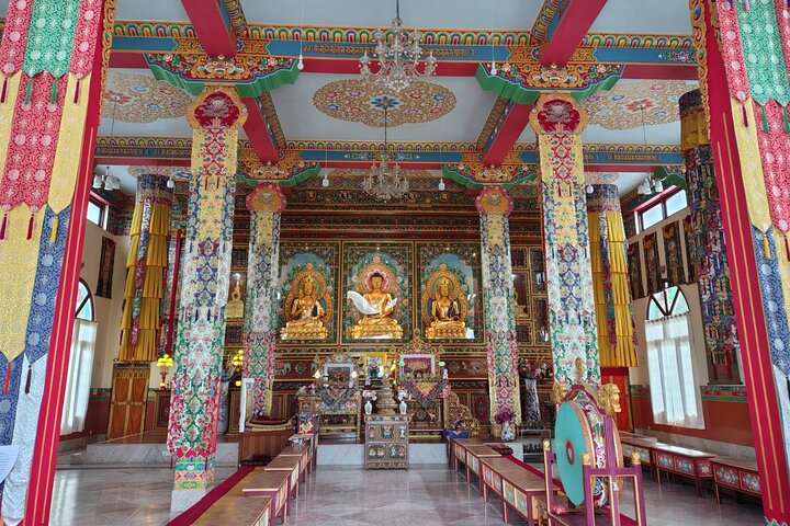 Guided Tour to Palampur-Monasteries, Temple & Tea Gardens visit