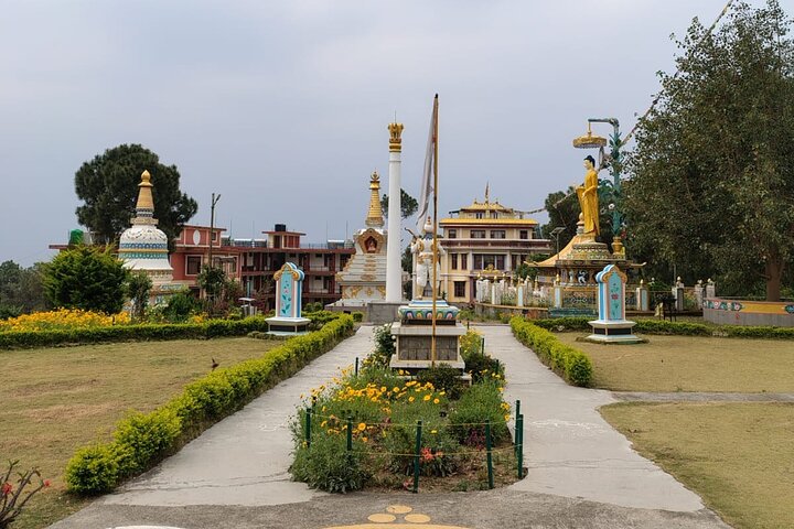 Guided Tour to Palampur-Monasteries, Temple & Tea Gardens visit