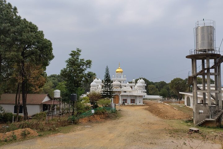 Guided Tour to Palampur-Monasteries, Temple & Tea Gardens visit