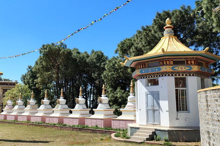 Guided Tour to Palampur-Monasteries, Temple & Tea Gardens visit