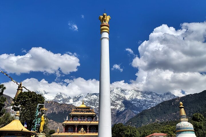 Guided Tour to Palampur-Monasteries, Temple & Tea Gardens visit