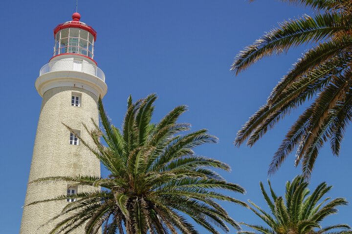 The Best of Punta del Este Old Town Private Walking Tour