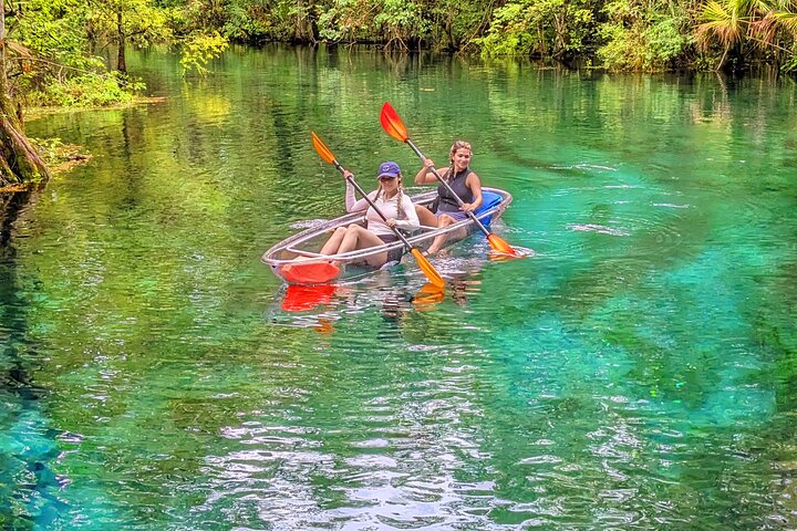 Silver Springs Jungle Kayaking and Paddleboarding