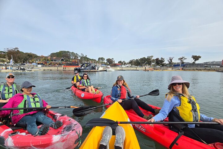 Dana Point Kayak and Hike to sea cave with Sea Lion Sightings