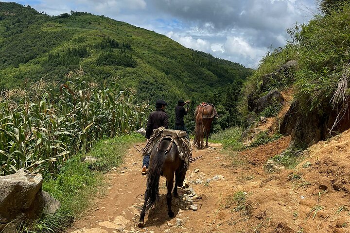 2 Days village Trek and Homestay in Dong Van 's Ethnic Highlands