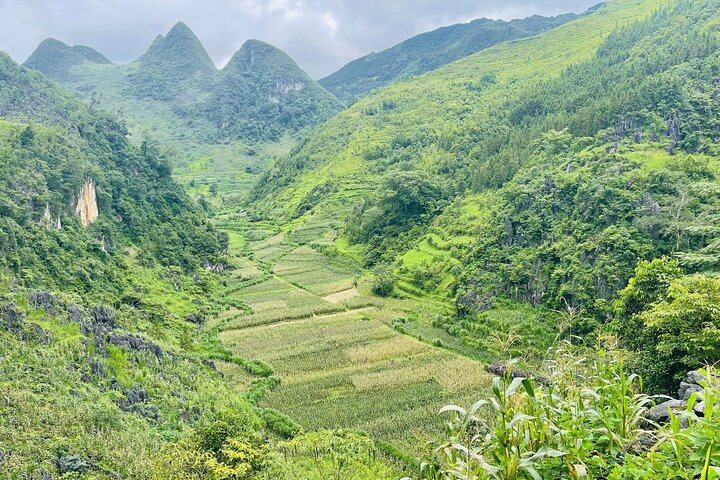 2 Days village Trek and Homestay in Dong Van 's Ethnic Highlands