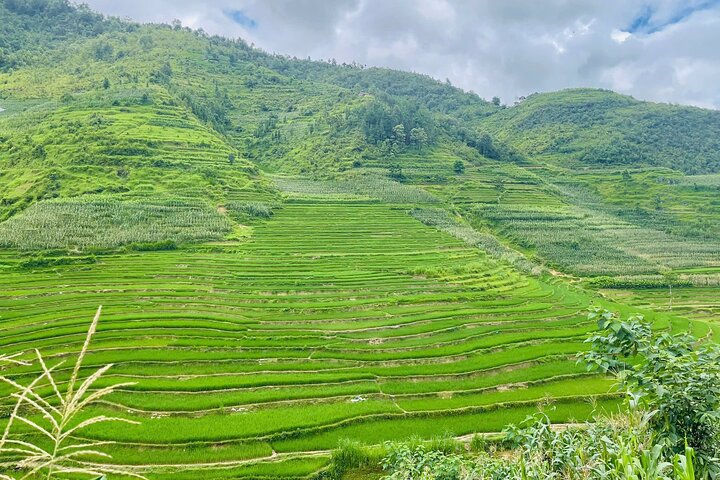2 Days village Trek and Homestay in Dong Van 's Ethnic Highlands