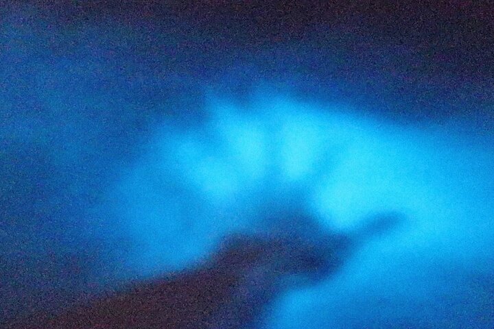 Unforgettable One Day Bioluminescent Kayak Adventure in Vieques