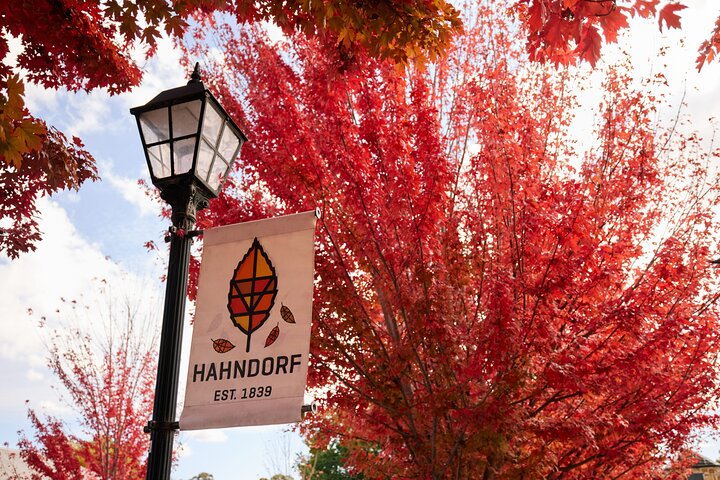 Adelaide Highlights, Hahndorf & McLaren Vale Wine Tasting and Sightseeing Tour