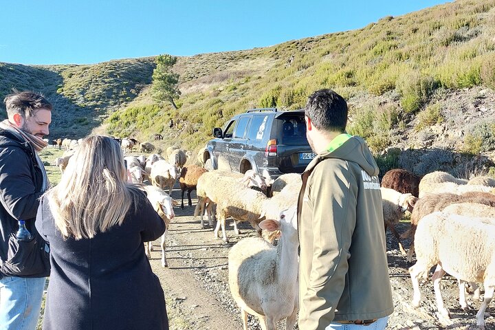 4x4 tour in the Serra da Estrela