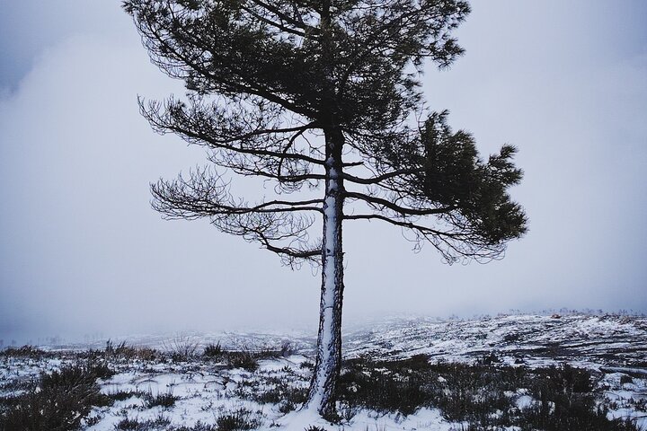 4x4 tour in the Serra da Estrela