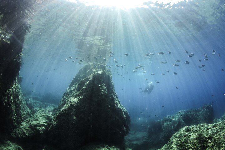 Boat Trip in Crete with Guided Snorkeling and Free Pick up!