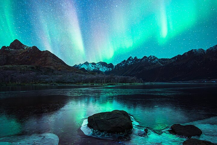 Lofoten Ultimate Aurora Hunt