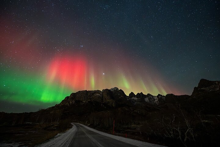Lofoten Ultimate Aurora Hunt