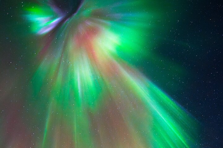 Lofoten Ultimate Aurora Hunt