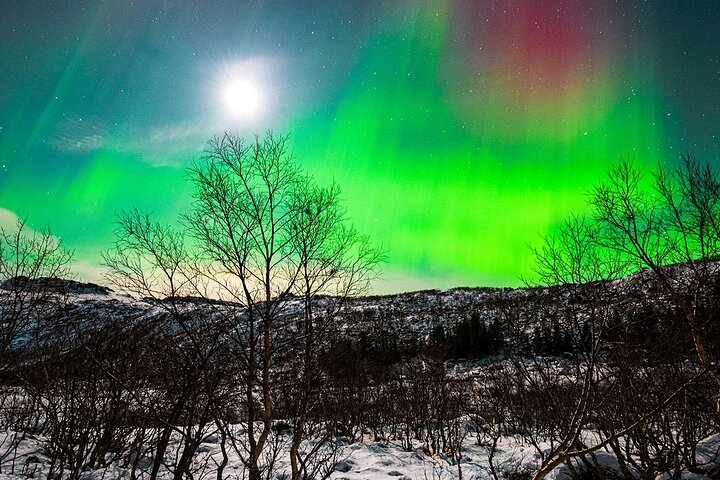 Lofoten Ultimate Aurora Hunt