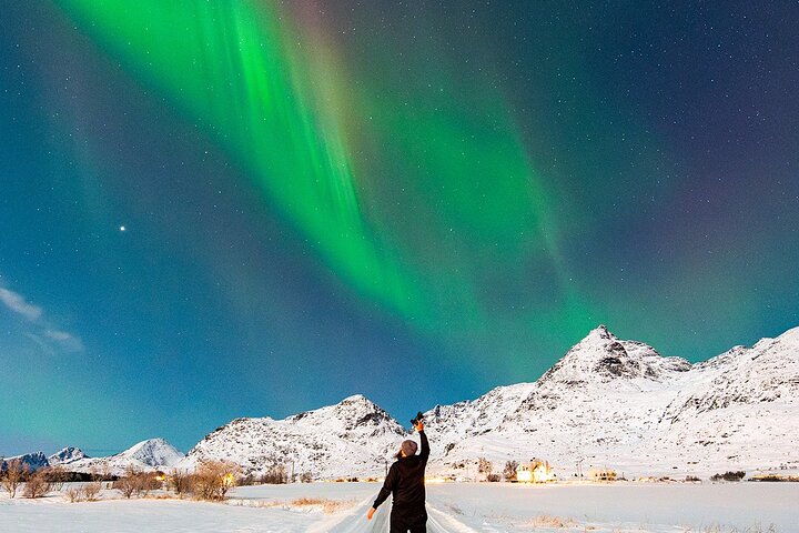 Lofoten Ultimate Aurora Hunt