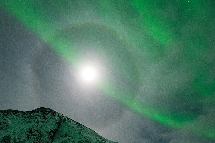 Lofoten Ultimate Aurora Hunt