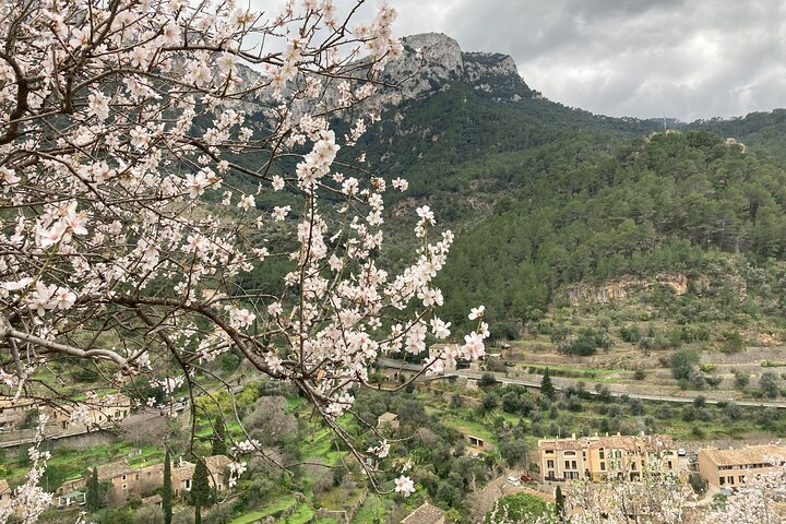 Secret Corners and Tastes of Mallorca Private Experience