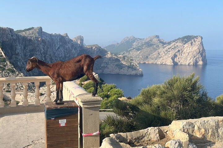 Secret Corners and Tastes of Mallorca Private Experience