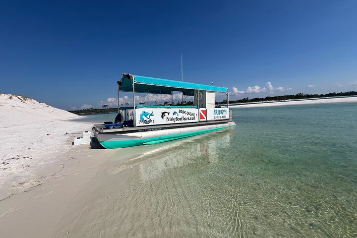 Pensacola Beach Dolphin Cruise + Beach Stop + Reef Snorkeling
