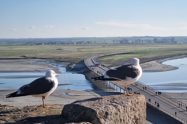 2 hour guided tour of Mont Saint Michel, abbey ticket included