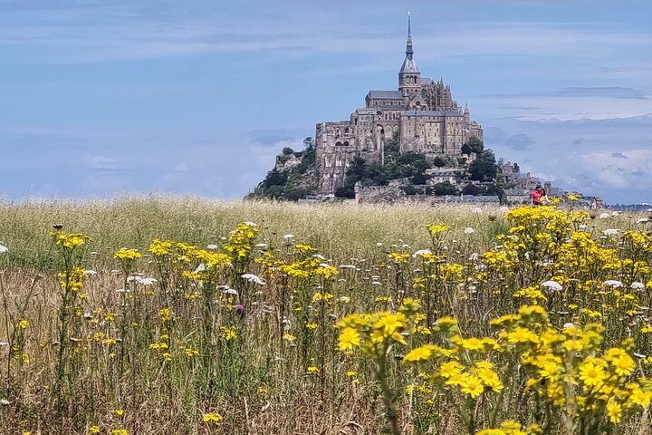 2 hour guided tour of Mont Saint Michel, abbey ticket included