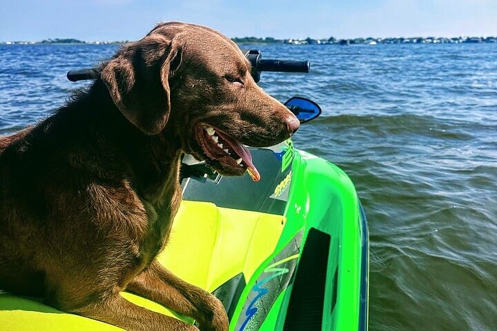 Jet Ski Rental