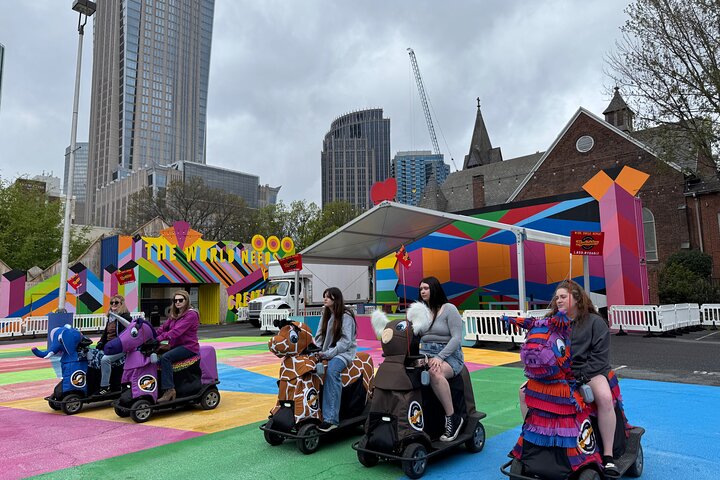 Wild Things Rydables Tour of Charlotte