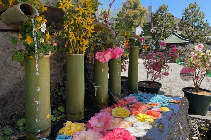 Private Buddhist Temple Ritual & Soba Tour – Tokyo at Jindaiji